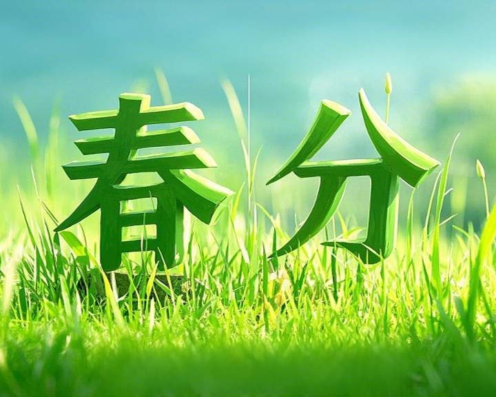 春分啟衡·東晟智封丨0.01毫米的陰陽(yáng)相濟(jì)之道！