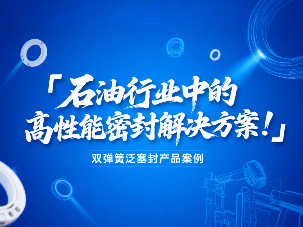 ?雙彈簧泛塞封產(chǎn)品案例 ? 石油行業(yè)中的高性能密封解決方案！?